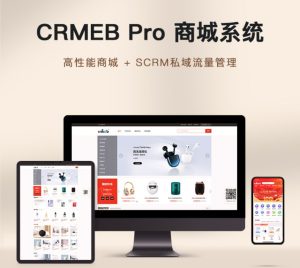 最新CRMEB Pro版v3.3源码(全开源去授权+PC端+Uniapp源码)-精品源码资源网-网站源码,小程序源码,公众号模块,APP源码